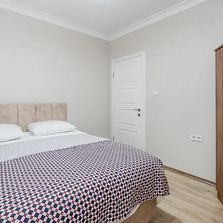 Spacious Flat Near Grand Mosque In Osmangazi *