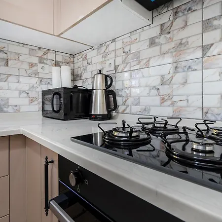 Spacious Flat Near Grand Mosque In Osmangazi شقة *